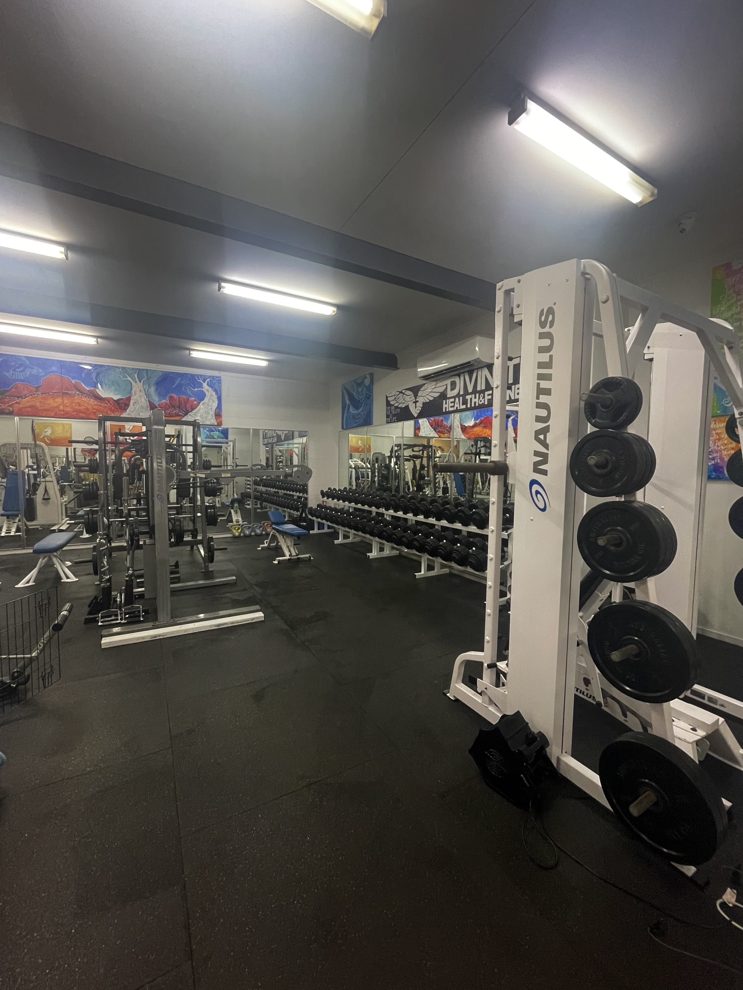 Professional Gym Environment